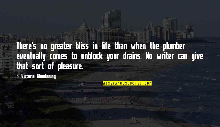 Plumber Quotes By Victoria Glendinning: There's no greater bliss in life than when