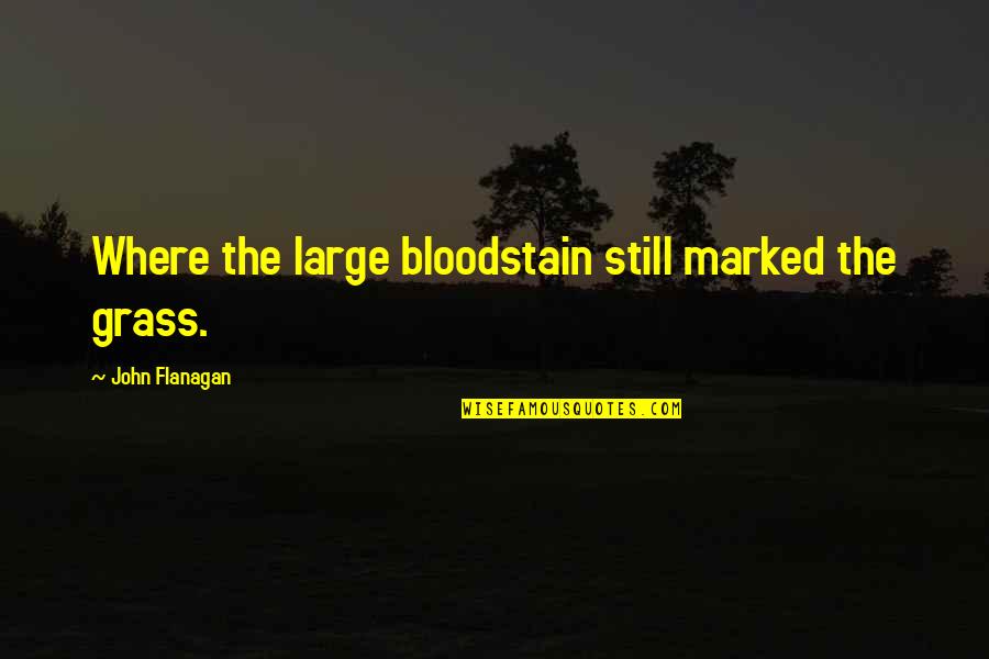 Plumbless Plumb Quotes By John Flanagan: Where the large bloodstain still marked the grass.