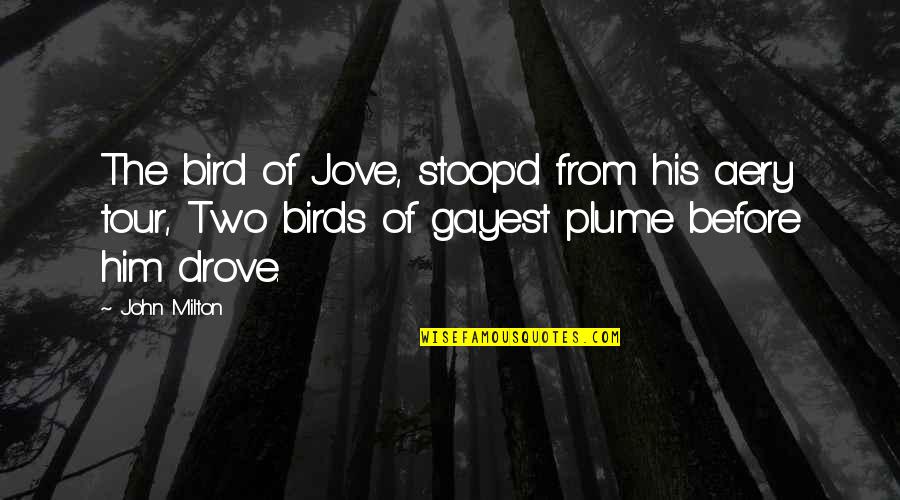 Plume Quotes By John Milton: The bird of Jove, stoop'd from his aery