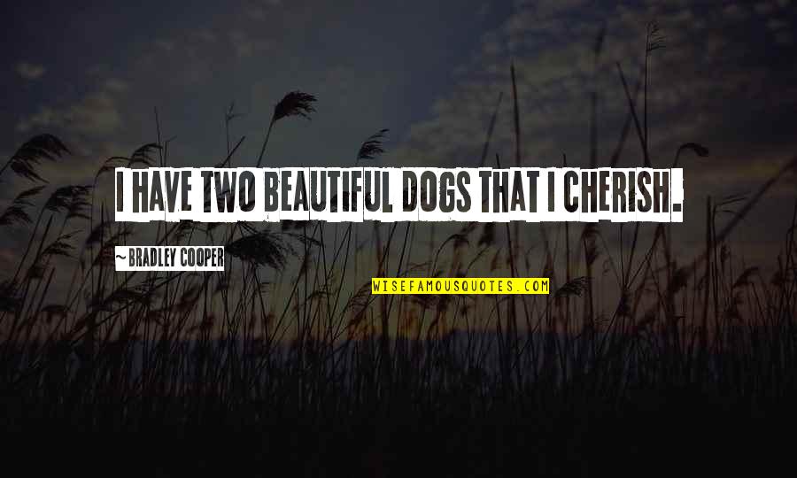 Plumerias Quotes By Bradley Cooper: I have two beautiful dogs that I cherish. Plumerias Quotes By Bradley Cooper: I have two beautiful dogs that I cherish.