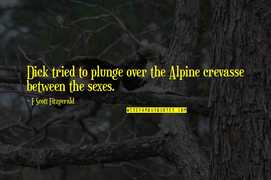 Plunge Into It Quotes By F Scott Fitzgerald: Dick tried to plunge over the Alpine crevasse Plunge Into It Quotes By F Scott Fitzgerald: Dick tried to plunge over the Alpine crevasse