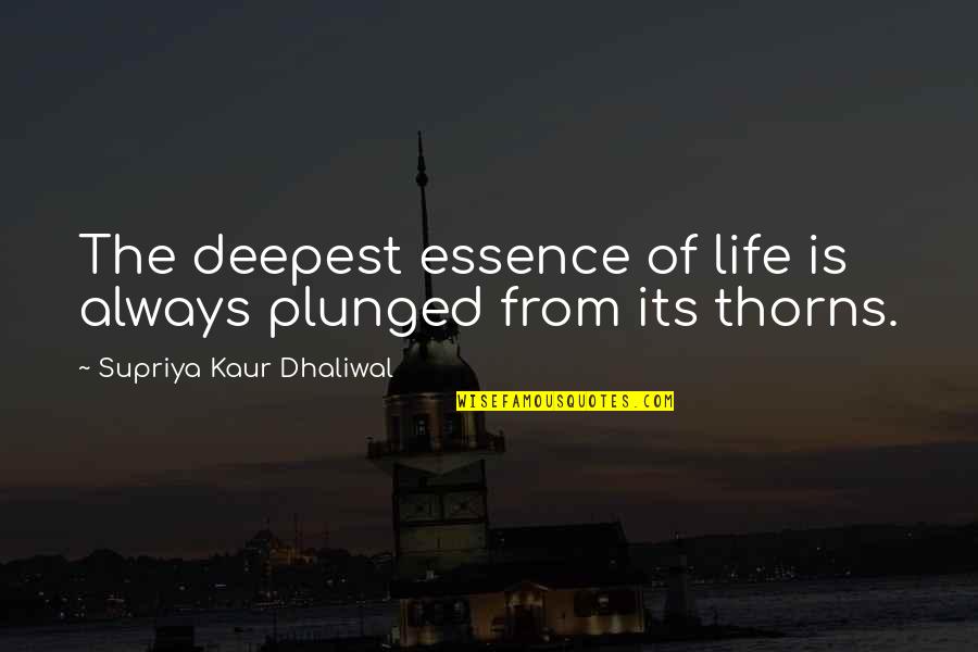 Plunged Quotes By Supriya Kaur Dhaliwal: The deepest essence of life is always plunged