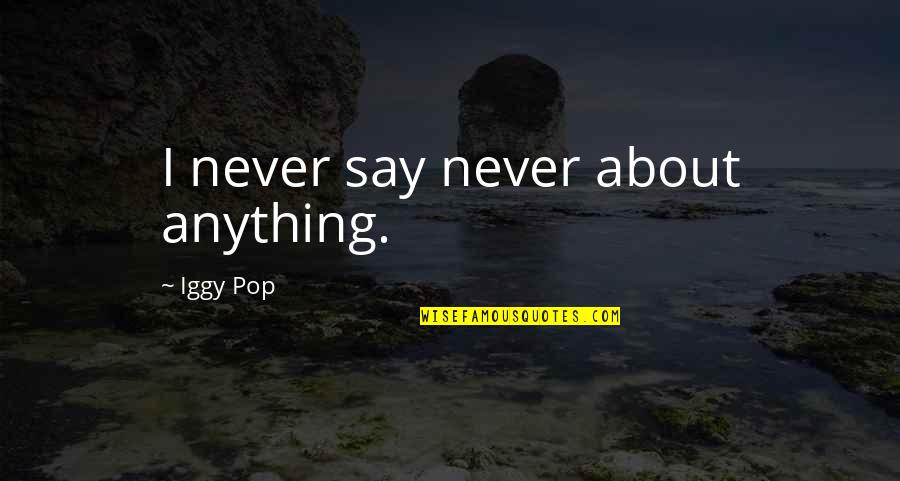 Plunger Holder Quotes By Iggy Pop: I never say never about anything. Plunger Holder Quotes By Iggy Pop: I never say never about anything.