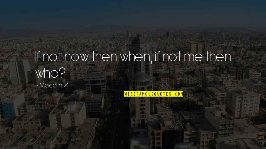 Plupart In French Quotes By Malcolm X: If not now then when, if not me