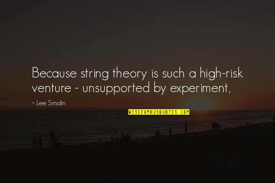 Pluresque Quotes By Lee Smolin: Because string theory is such a high-risk venture