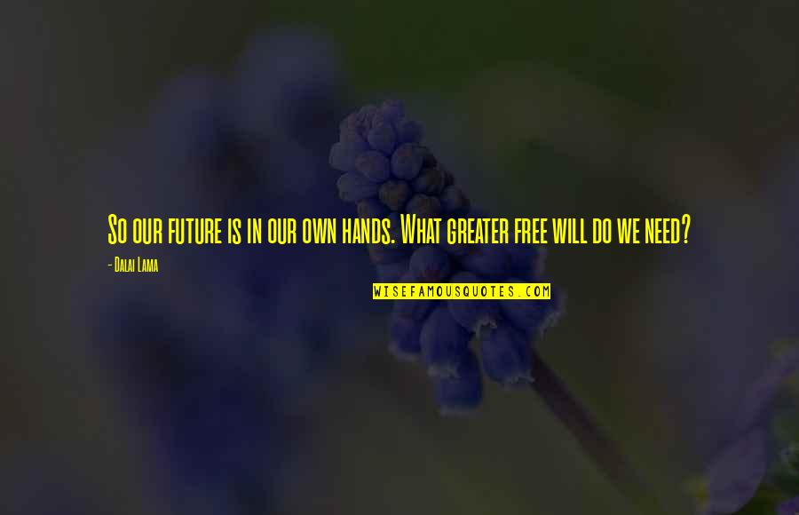 Plurisusa Quotes By Dalai Lama: So our future is in our own hands.