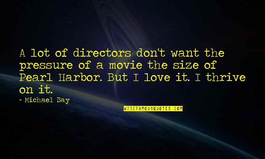 Plus Size Love Quotes By Michael Bay: A lot of directors don't want the pressure
