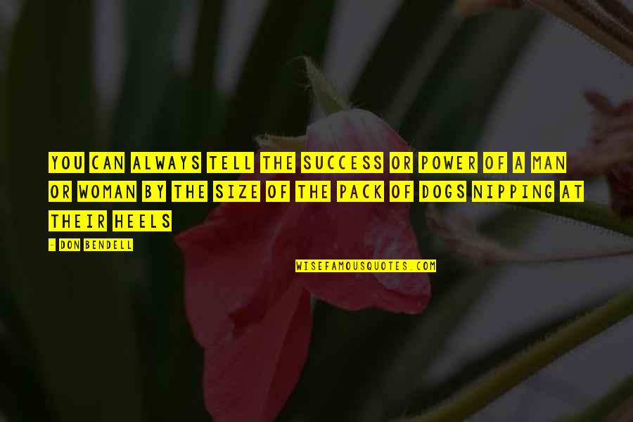 Plus Size Woman Quotes By Don Bendell: You can always tell the success or power Plus Size Woman Quotes By Don Bendell: You can always tell the success or power