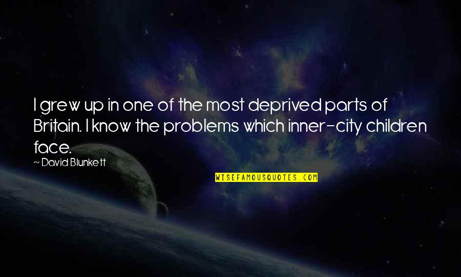 Pluskota Electric Company Quotes By David Blunkett: I grew up in one of the most