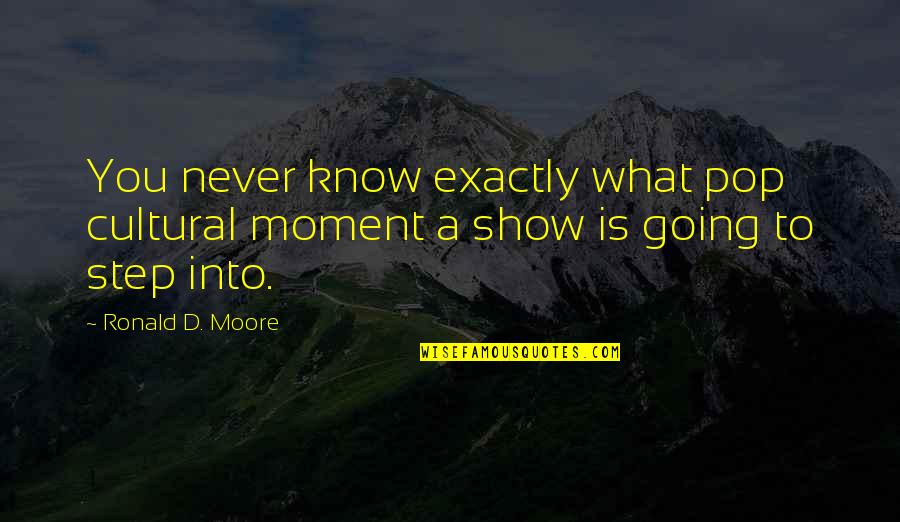 Plutarch Alexander Quotes By Ronald D. Moore: You never know exactly what pop cultural moment