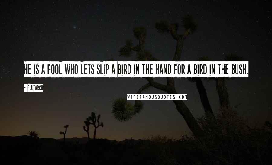 Plutarch quotes: He is a fool who lets slip a bird in the hand for a bird in the bush.