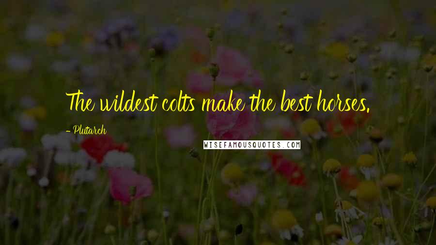Plutarch quotes: The wildest colts make the best horses.
