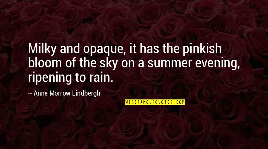 Pluthero Quotes By Anne Morrow Lindbergh: Milky and opaque, it has the pinkish bloom