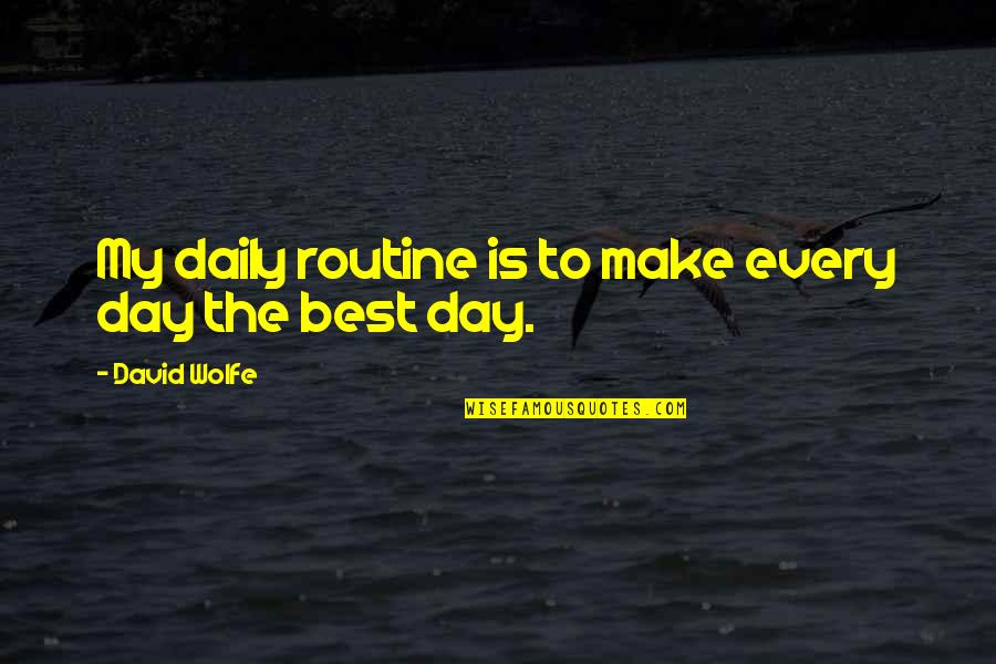 Plutocarcy Quotes By David Wolfe: My daily routine is to make every day