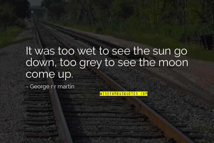 Plymouth Moving Quotes By George R R Martin: It was too wet to see the sun