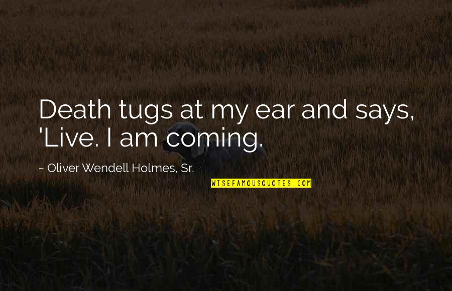 Pma Kakul Quotes By Oliver Wendell Holmes, Sr.: Death tugs at my ear and says, 'Live. Pma Kakul Quotes By Oliver Wendell Holmes, Sr.: Death tugs at my ear and says, 'Live.