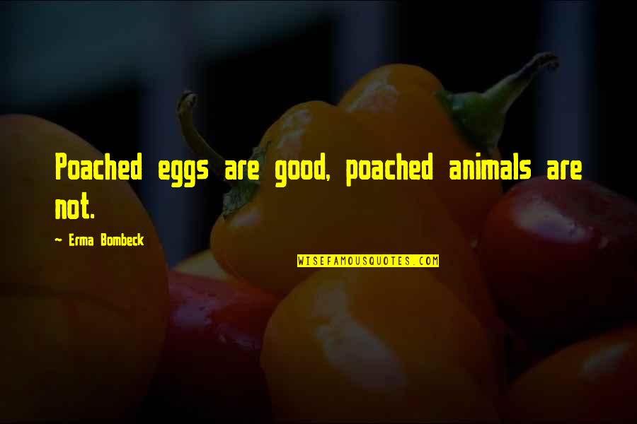 Poached Eggs Quotes By Erma Bombeck: Poached eggs are good, poached animals are not. Poached Eggs Quotes By Erma Bombeck: Poached eggs are good, poached animals are not.