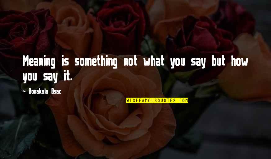 Pobblebonk Quotes By Bonakala Bsac: Meaning is something not what you say but Pobblebonk Quotes By Bonakala Bsac: Meaning is something not what you say but