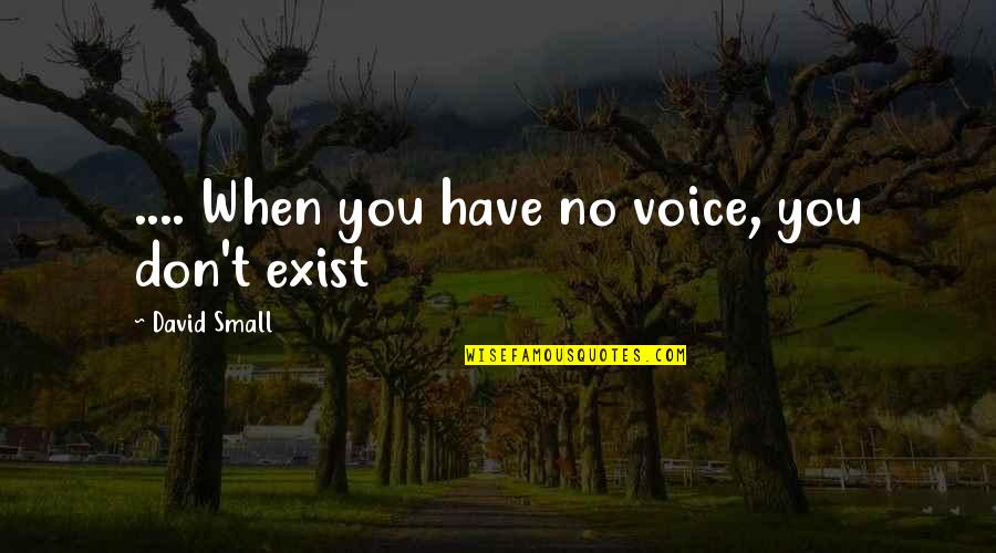Pobees Quotes By David Small: .... When you have no voice, you don't Pobees Quotes By David Small: .... When you have no voice, you don't
