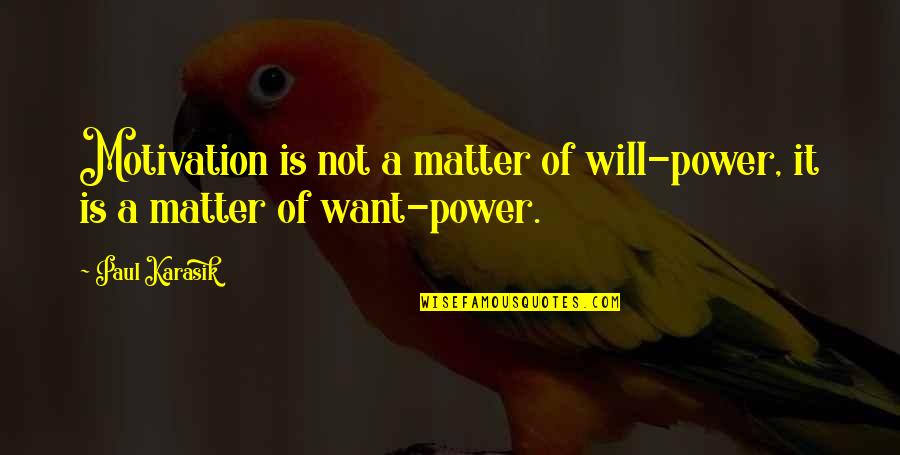 Pobjeda Quotes By Paul Karasik: Motivation is not a matter of will-power, it