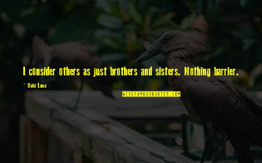 Poc Quotes By Dalai Lama: I consider others as just brothers and sisters.