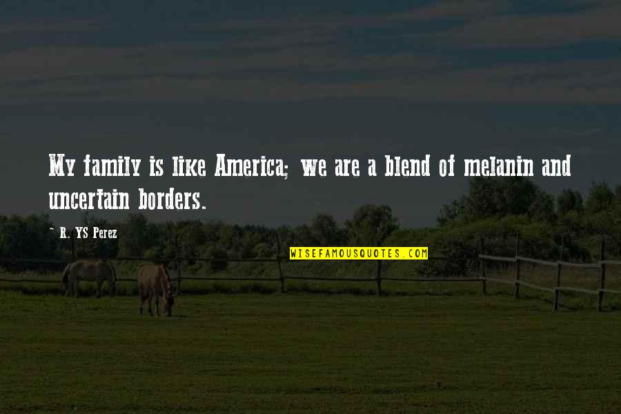 Poc Quotes By R. YS Perez: My family is like America; we are a