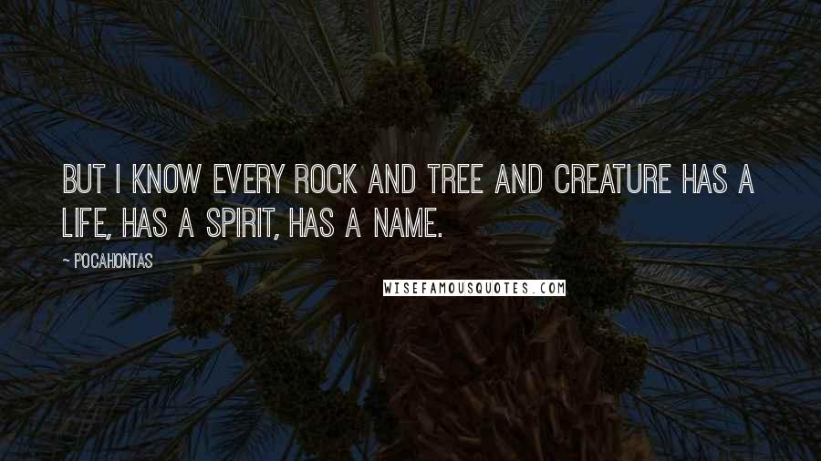 Pocahontas quotes: But I know every rock and tree and creature has a life, has a spirit, has a name.