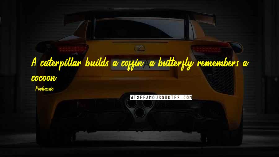 Pochassic quotes: A caterpillar builds a coffin, a butterfly remembers a cocoon