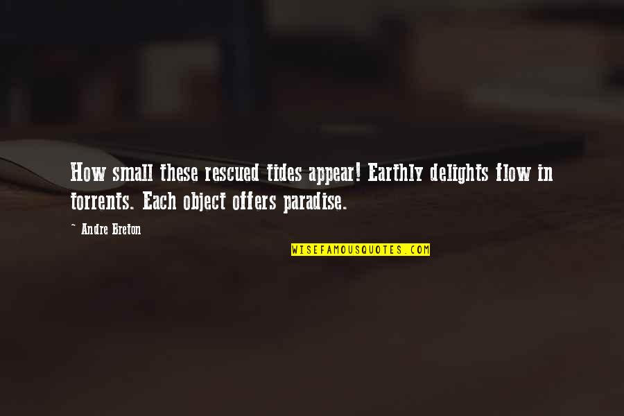 Pochera Falls Quotes By Andre Breton: How small these rescued tides appear! Earthly delights Pochera Falls Quotes By Andre Breton: How small these rescued tides appear! Earthly delights
