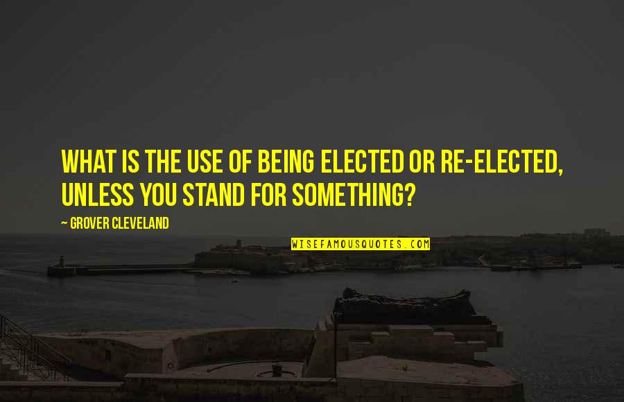 Pocked Skin Quotes By Grover Cleveland: What is the use of being elected or