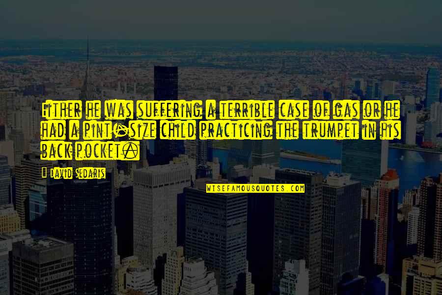 Pocket Quotes By David Sedaris: Either he was suffering a terrible case of Pocket Quotes By David Sedaris: Either he was suffering a terrible case of