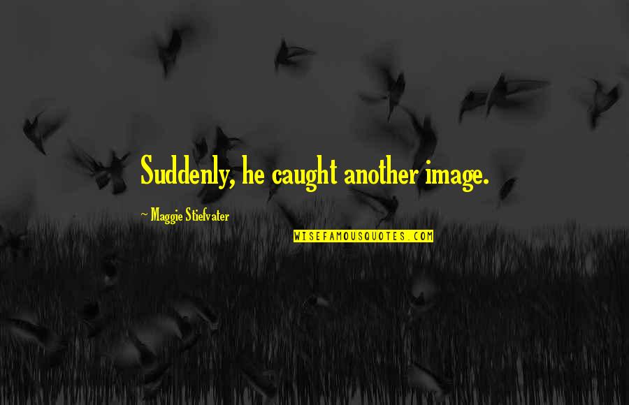 Pocketful Of Sand Quotes By Maggie Stiefvater: Suddenly, he caught another image.