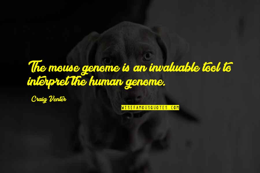 Podagra Gout Quotes By Craig Venter: The mouse genome is an invaluable tool to