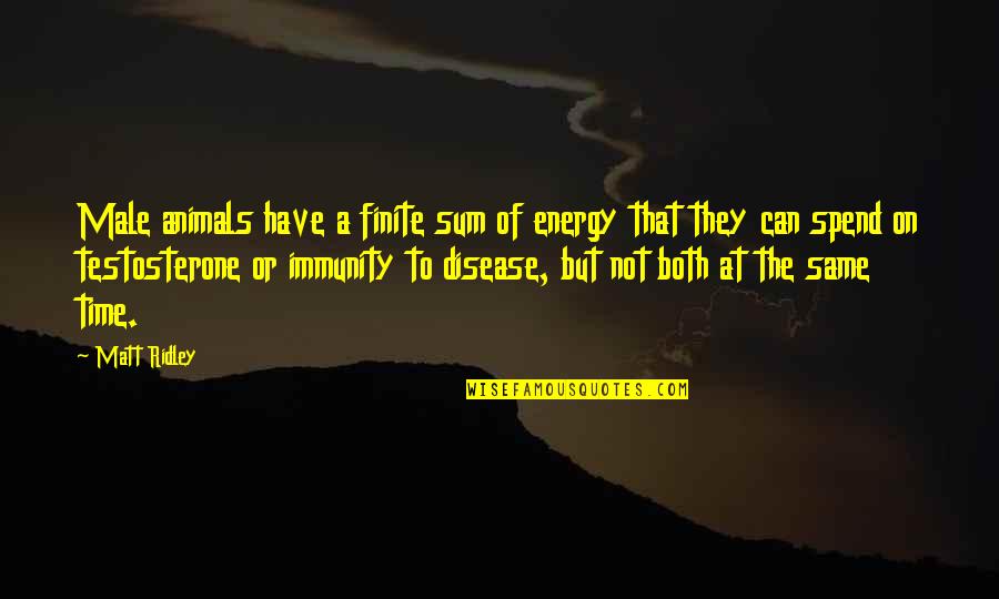 Podge And Rodge Quotes By Matt Ridley: Male animals have a finite sum of energy Podge And Rodge Quotes By Matt Ridley: Male animals have a finite sum of energy