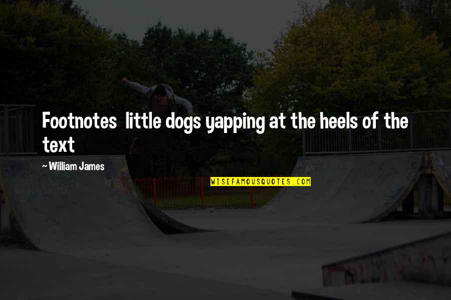 Podobus Quotes By William James: Footnotes little dogs yapping at the heels of Podobus Quotes By William James: Footnotes little dogs yapping at the heels of