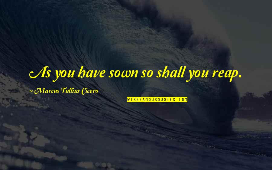 Podres Kupujem Quotes By Marcus Tullius Cicero: As you have sown so shall you reap. Podres Kupujem Quotes By Marcus Tullius Cicero: As you have sown so shall you reap.