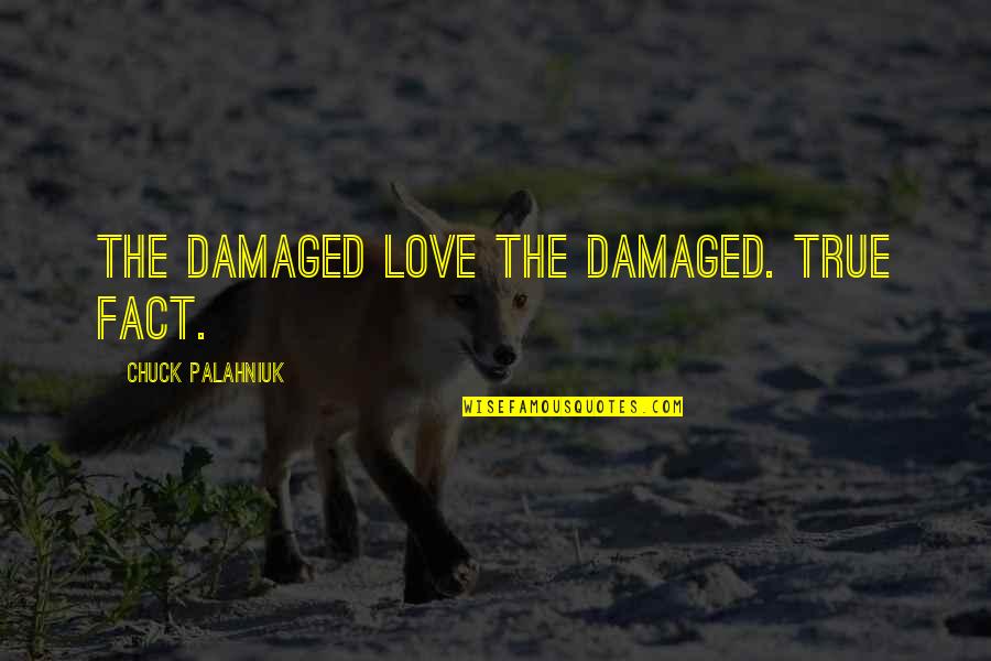 Podwodne Zwierzeta Quotes By Chuck Palahniuk: The damaged love the damaged. True fact. Podwodne Zwierzeta Quotes By Chuck Palahniuk: The damaged love the damaged. True fact.