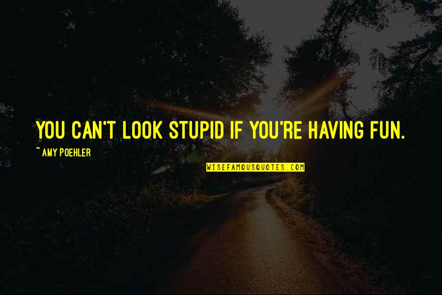 Poehler Quotes By Amy Poehler: You can't look stupid if you're having fun. Poehler Quotes By Amy Poehler: You can't look stupid if you're having fun.