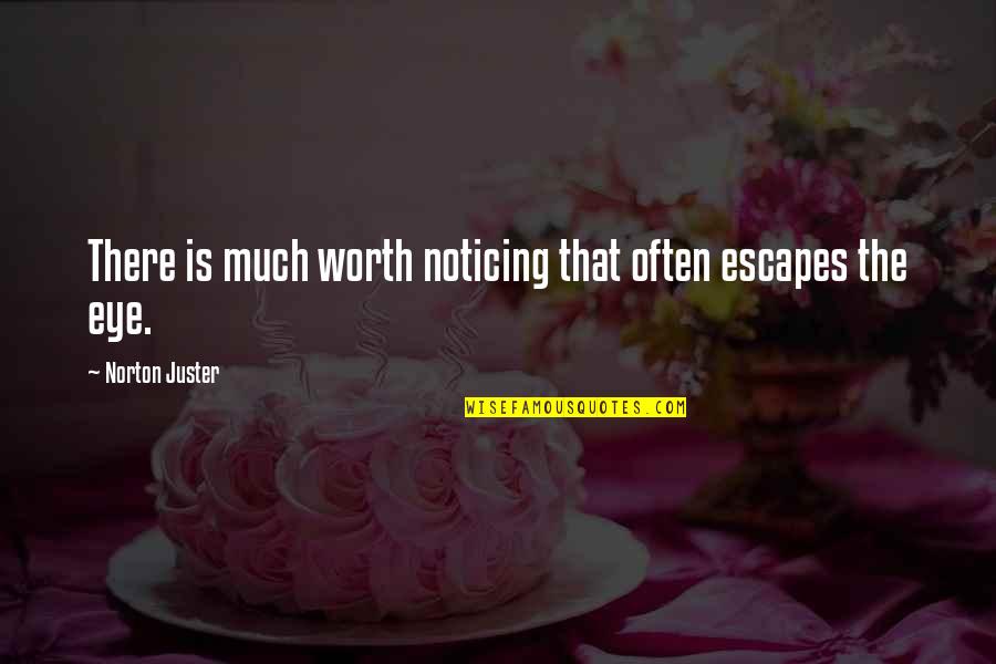 Poelgeest Kapper Quotes By Norton Juster: There is much worth noticing that often escapes