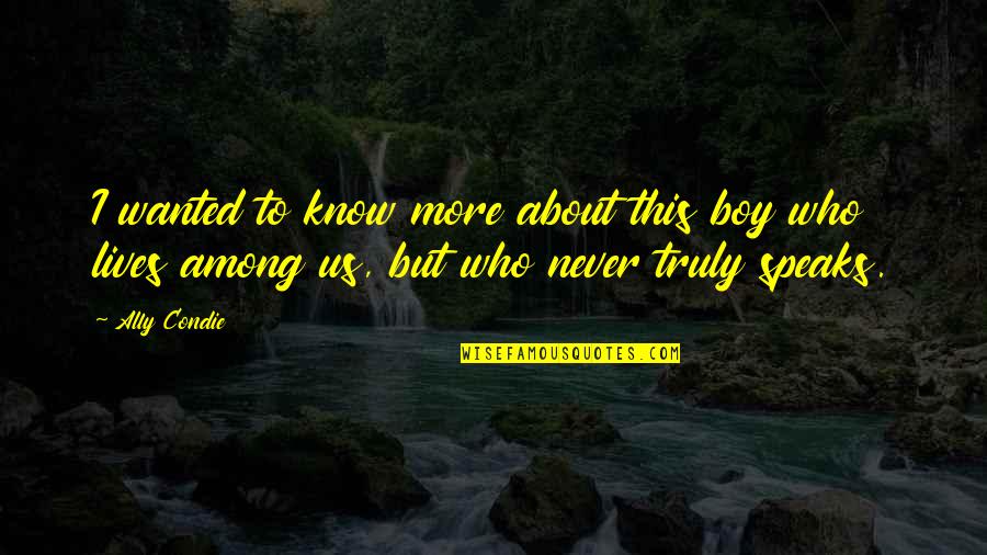 Poelgeest Zwembad Quotes By Ally Condie: I wanted to know more about this boy