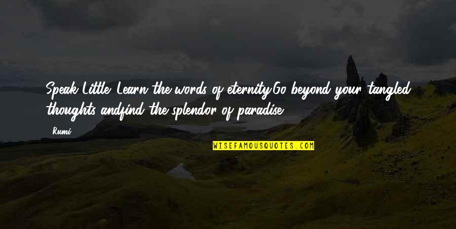 Poetic Life Quotes By Rumi: Speak Little. Learn the words of eternity.Go beyond