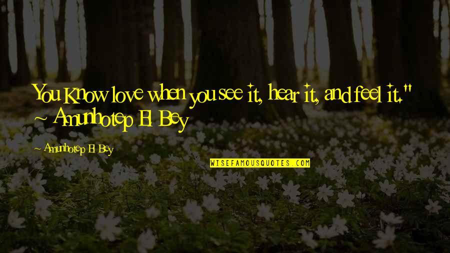 Poetry And Love Quotes By Amunhotep El Bey: You Know love when you see it, hear
