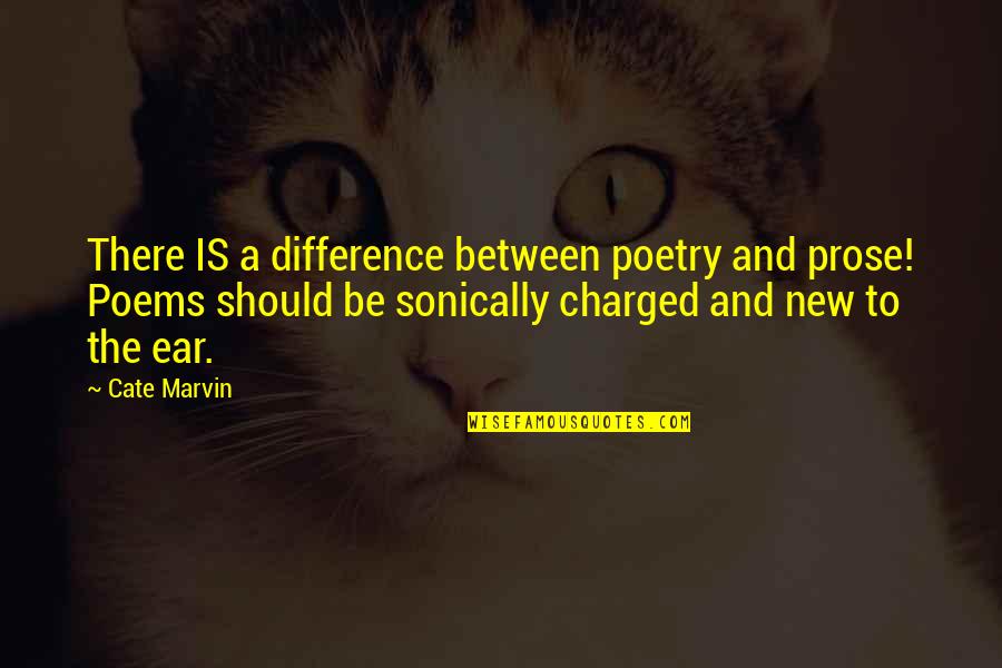 Poetry And Prose Quotes By Cate Marvin: There IS a difference between poetry and prose!