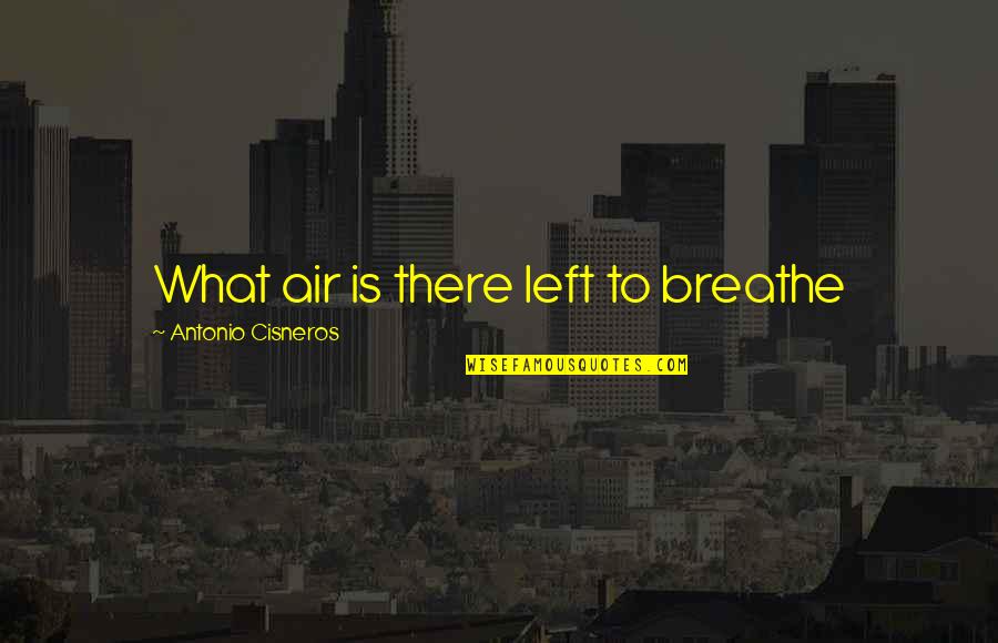 Poetry Excerpt Quotes By Antonio Cisneros: What air is there left to breathe
