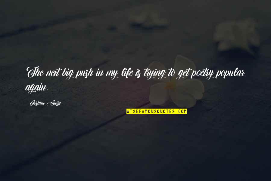 Poetry Is My Life Quotes By Joshua Sasse: The next big push in my life is