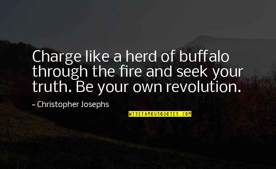 Poetry Life Quotes By Christopher Josephs: Charge like a herd of buffalo through the