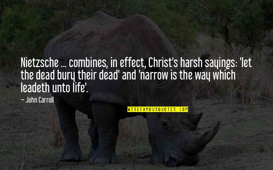 Poetry That Hurts Quotes By John Carroll: Nietzsche ... combines, in effect, Christ's harsh sayings:
