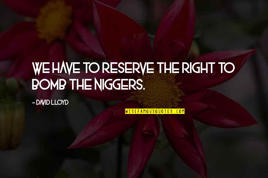 Poggensee Kreis Quotes By David Lloyd: We have to reserve the right to bomb