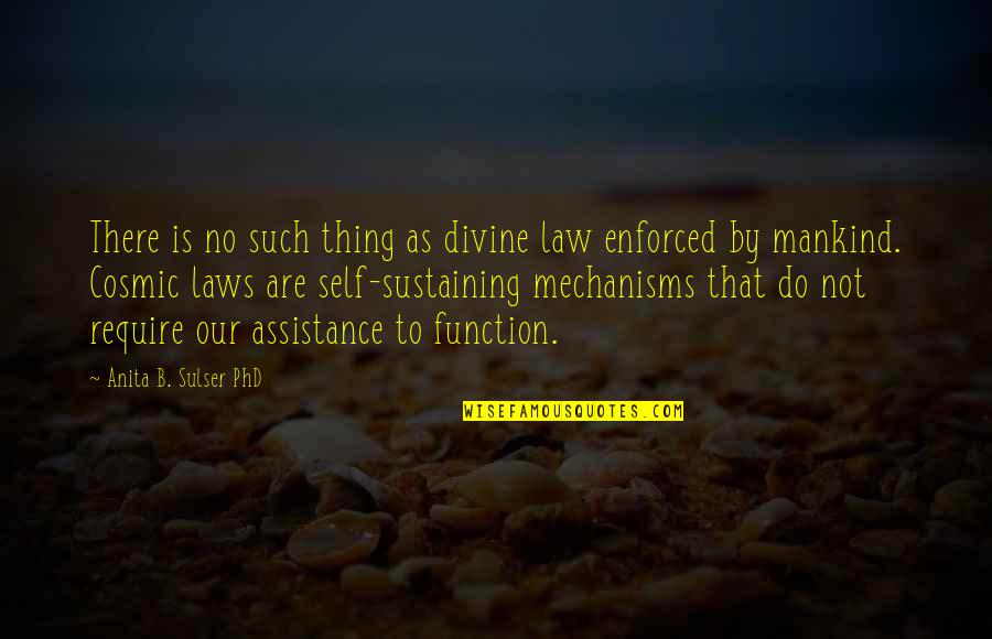 Poignancy Defined Quotes By Anita B. Sulser PhD: There is no such thing as divine law