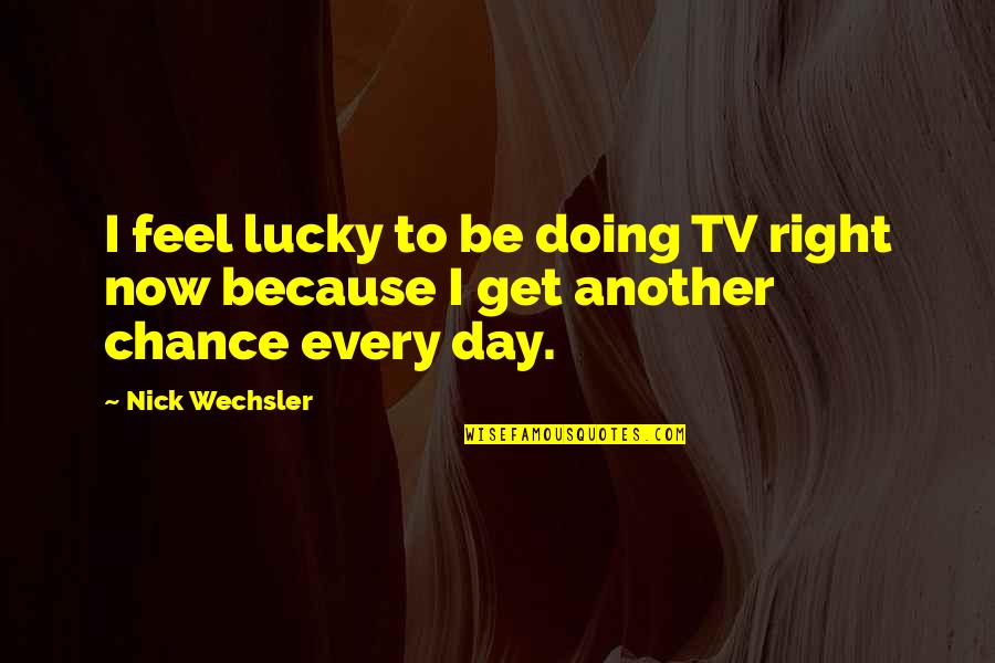 Poinciana Trees Quotes By Nick Wechsler: I feel lucky to be doing TV right